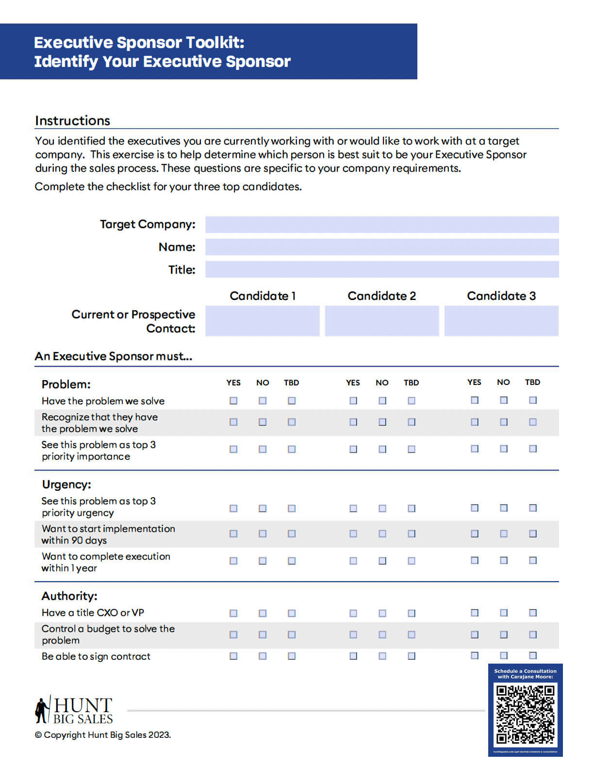 Executive Sponsor Toolkit Preview